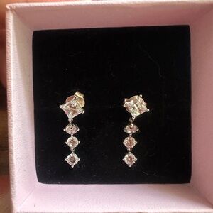 Elegant Silver Drop Earrings